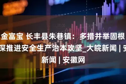 金富宝 长丰县朱巷镇：多措并举固根基 纵深推进安全生产治本攻坚_大皖新闻 | 安徽网