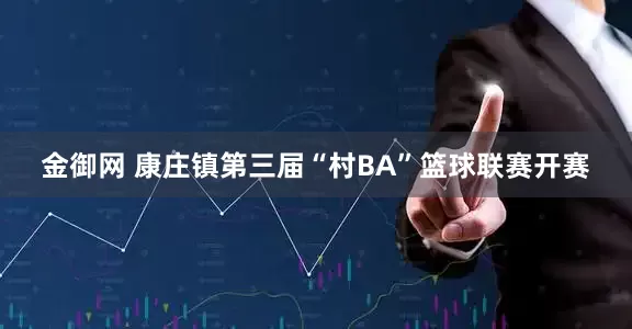 金御网 康庄镇第三届“村BA”篮球联赛开赛