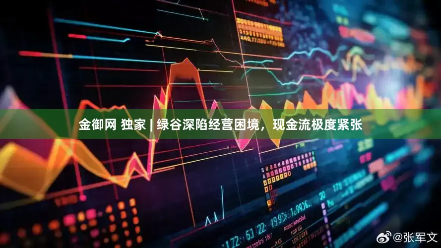 金御网 独家 | 绿谷深陷经营困境，现金流极度紧张