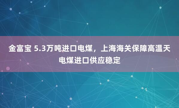 金富宝 5.3万吨进口电煤，上海海关保障高温天电煤进口供应稳定