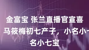 金富宝 张兰直播官宣喜讯！马筱梅初七产子，小名小七宝