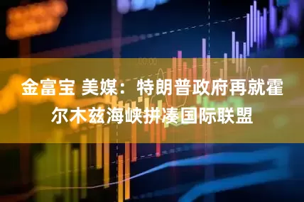 金富宝 美媒：特朗普政府再就霍尔木兹海峡拼凑国际联盟