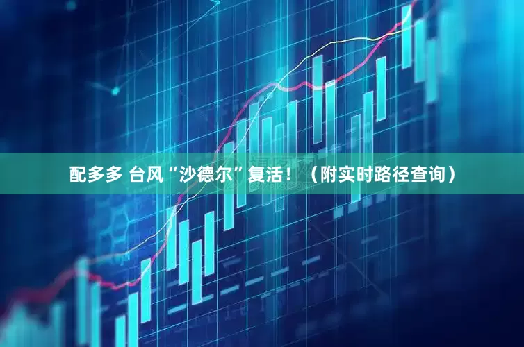 配多多 台风“沙德尔”复活!(附实时路径查询)